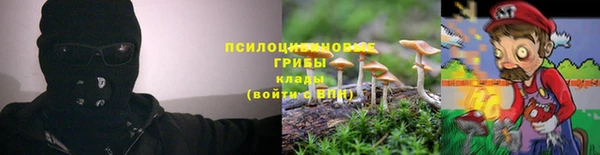мефедрон мука Новодвинск