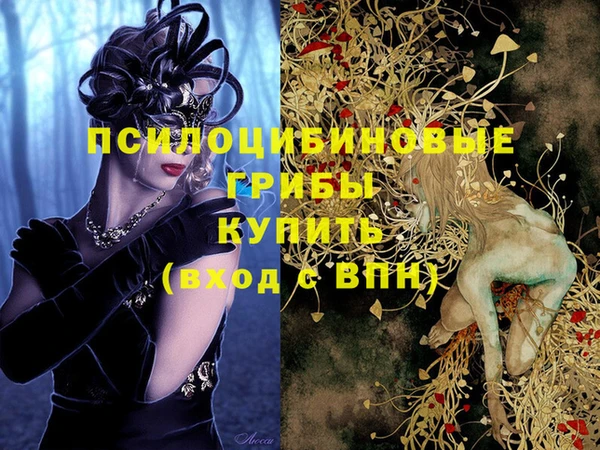 мефедрон мука Новодвинск