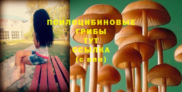 спайс Нязепетровск