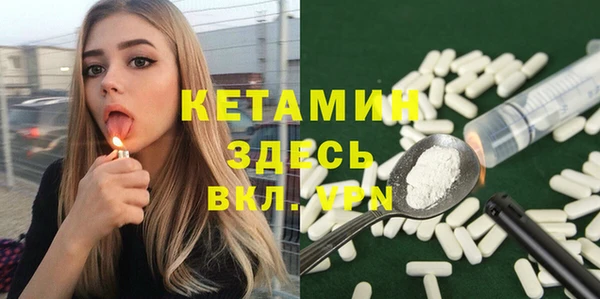 крисы Няндома