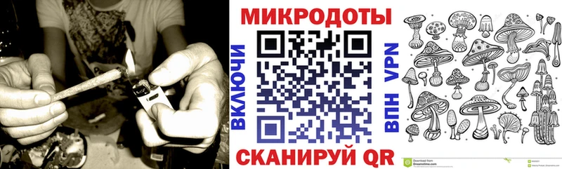 хочу   блэк спрут   Галлюциногенные грибы Psilocybe  Полярный 