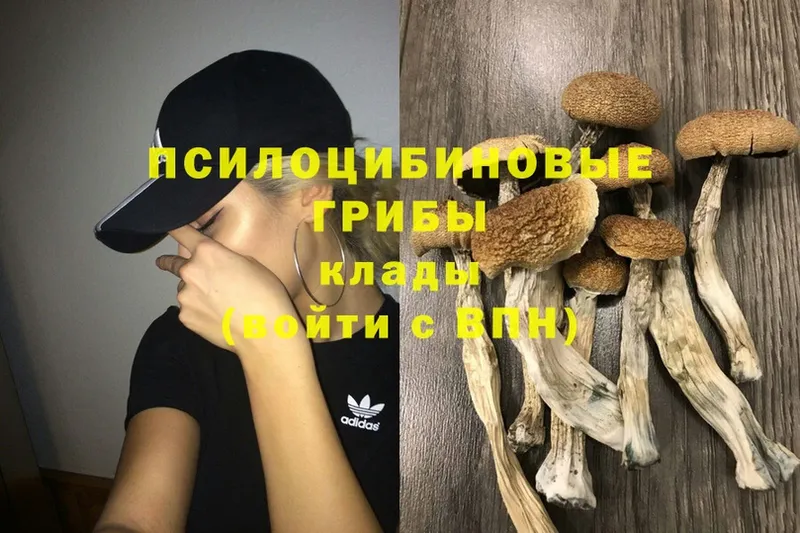 Галлюциногенные грибы Psilocybe  omg ТОР  Полярный  купить закладку 